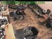wbc13_040
