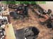 wbc13_068
