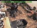 wbc13_087