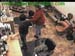wbc13_180
