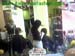wbc14_027