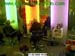 wbc15_170