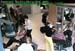 wbc16_008