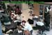 wbc16_042