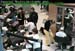wbc16_082
