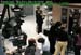 wbc16_095
