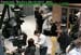 wbc16_096