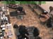 wbc17_001