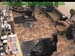 wbc17_003