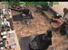 wbc17_004