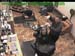 wbc17_011