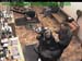 wbc17_014