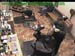 wbc17_019