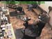 wbc17_020