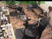 wbc17_021