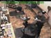 wbc17_022