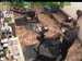 wbc17_023