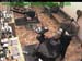 wbc17_024
