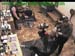 wbc17_025