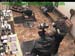 wbc17_028