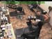 wbc17_029