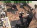 wbc17_031