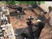 wbc17_033