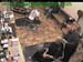 wbc17_036