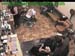 wbc17_040