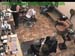 wbc17_041