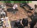 wbc17_043