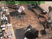 wbc17_044