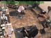 wbc17_045