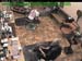 wbc17_047