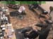 wbc17_053