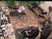 wbc17_054