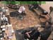 wbc17_055