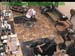 wbc17_057