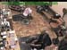 wbc17_058