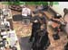 wbc17_062