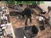 wbc17_083