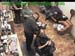 wbc17_094