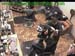 wbc17_102