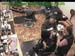 wbc17_104