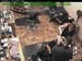 wbc17_106