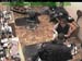wbc17_109