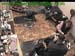 wbc17_110