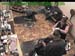 wbc17_112