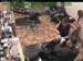 wbc17_118