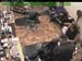 wbc17_120